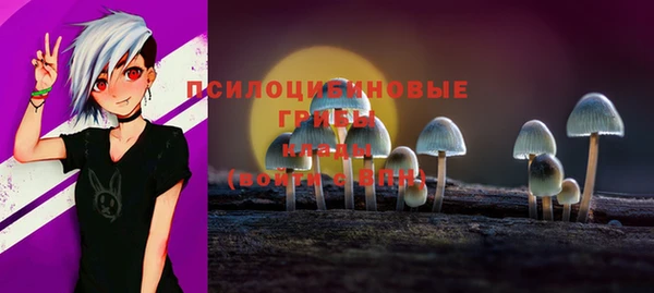 дурь Белоозёрский