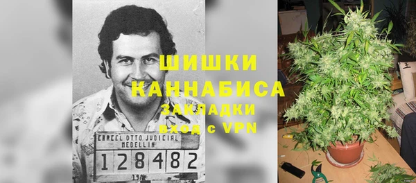 дурь Белоозёрский
