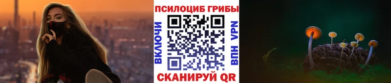 что такое   Светогорск  Псилоцибиновые грибы ЛСД 